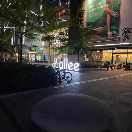 With View And Balcony Budapest