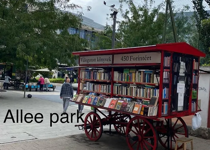 With View And Balcony דירה *