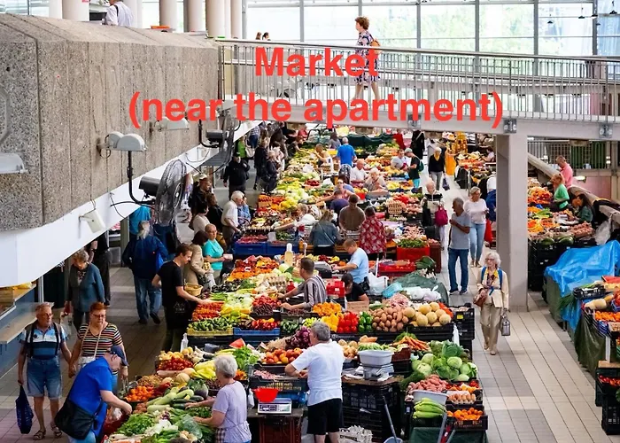 דירה With View And Balcony