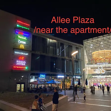 With View And Balcony 公寓